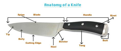 Infographic showing different parts of a butcher knife with labels for blade, handle, bolster