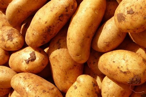 Fotografija krompirjevih polpetov