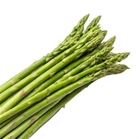 Thematic photo of fresh asparagus