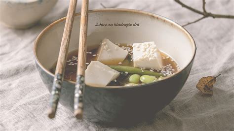 Ilustracija sestavin za miso juho