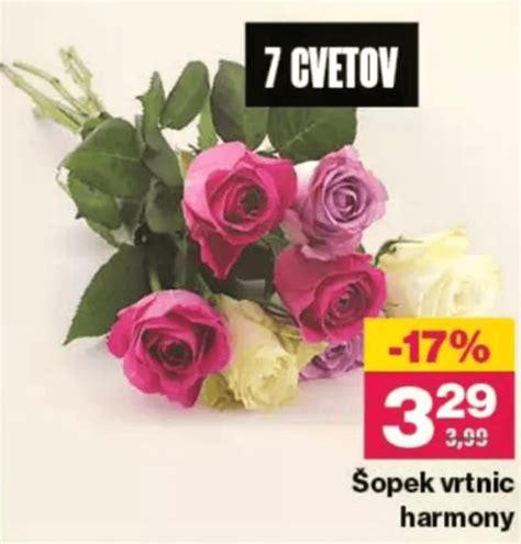 košara svežih dišečih cvetov vrtnic
