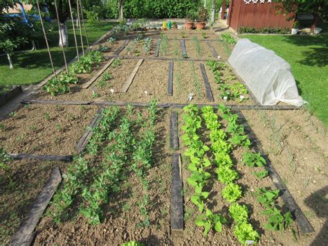 infografika o kolobarjenju pri gojenju zelenjave