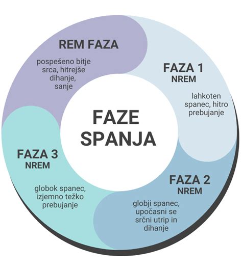 shema arhitekture spanja (REM, NREM faze)