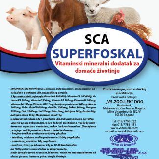 Infografika o vitaminski in mineralni sestavi sušenega mesa