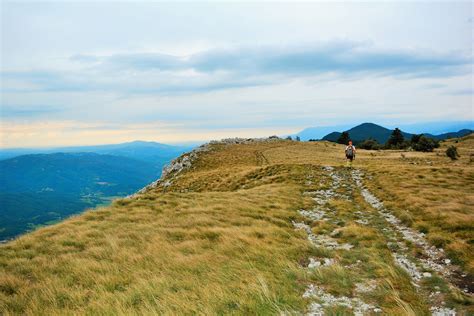 Slika planote Nanos s pašniki