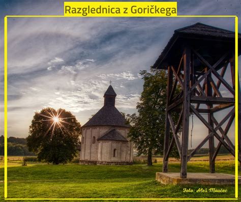 diagram o virih antioksidantov v hrani