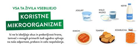 infografika o koristih fermentirane hrane za črevesje