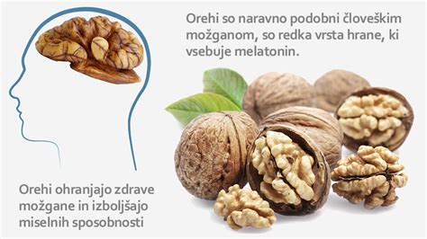 Infografika: Zdravilne lastnosti orehov