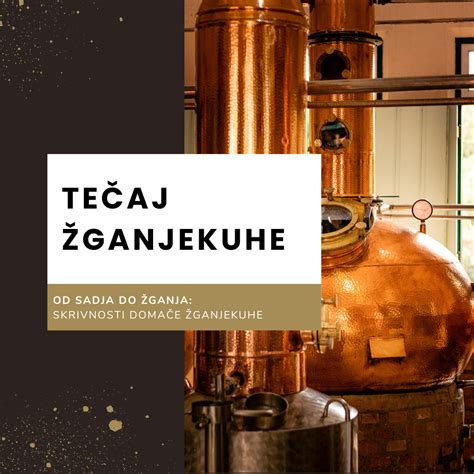 Infografika celotnega postopka žganjekuhe: od sadovnjaka, mletja in fermentacije do destilacije v kotlu