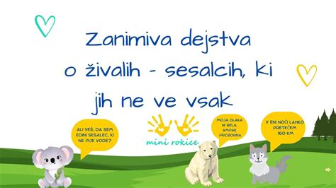 Zanimiva grafika o korenju