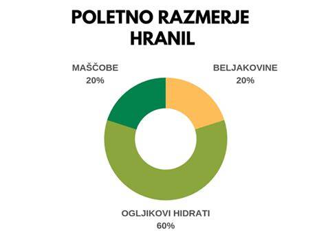 Infografika: Razmerje hranil v pasjem obroku (60 % mesa, 40 % rastlinskega dela)