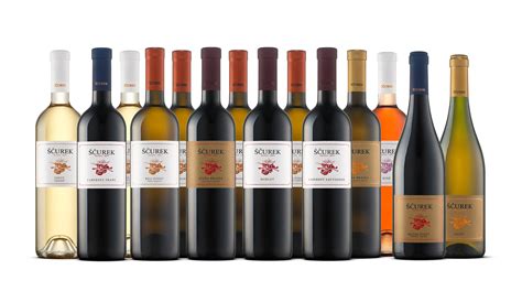 različne vrste vinskih steklenic, ki predstavljajo ženske proizvajalke vina