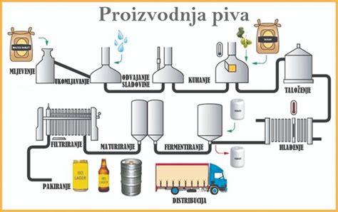 Shema proizvodnje skute
