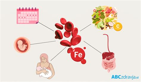 Infografika o simptomih pomanjkanja železa