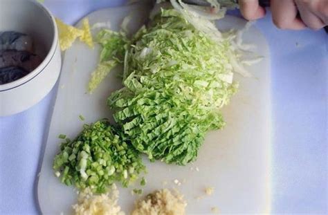 Sveža glava belega zelja, narezana na tanke trakove