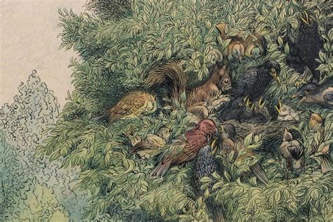 Ilustracija svežih jurčkov