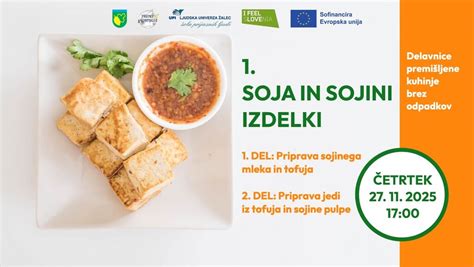 Sojini izdelki