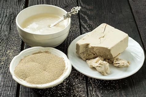Sveži in suhi kvas