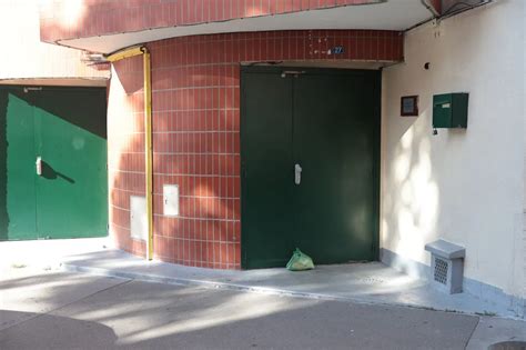 fotografija prašičje glave z označenimi deli, primernimi za pripravo jedi