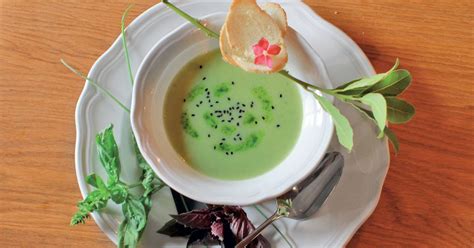 fotografija zelene omake v skodelici s svežimi zelišči