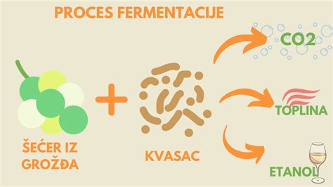 Shema procesa fermentacije zelja
