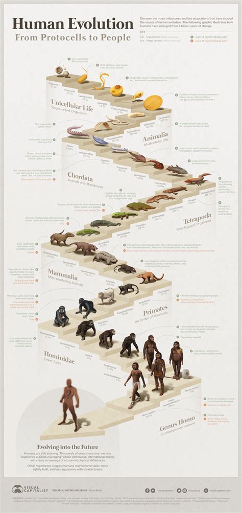 Infographic showing the evolution of heating systems