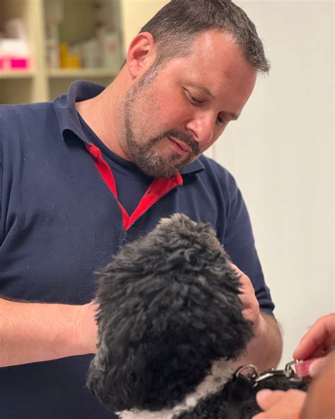 Sestavljanje jogurtovih rezin, kjer se tretja plast kreme vlije čez drugo.