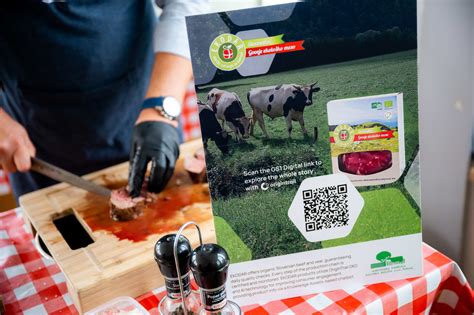 Infografika o pasmi Angus, izvoru in značilni marmoriranosti mesa