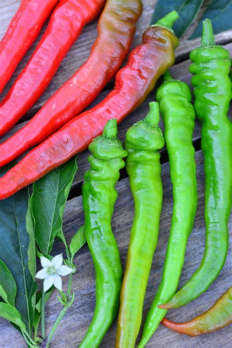 Tematska fotografija jalapeño paprik na kuhinjski deski