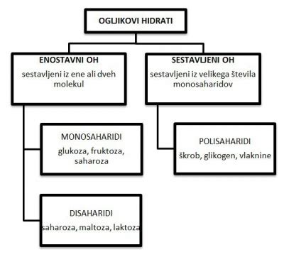 Shematski prikaz delitve ogljikovih hidratov na enostavne in sestavljene