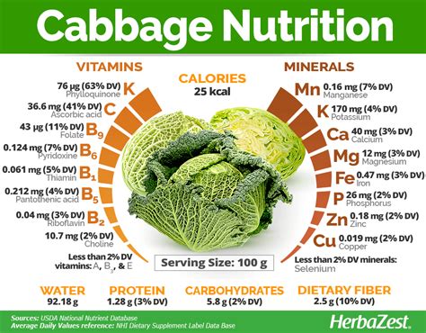 Infographic showing the nutritional value of cabbage and its benefits.