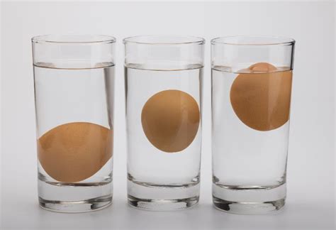 ilustracija, ki prikazuje sveže in staro jajce po razbitju na krožniku: sveže ima čvrst rumenjak in gost beljak, staro pa sploščen rumenjak in razlit beljak