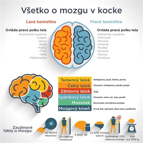 smešna infografika o znakih, da ste dopolnili 50 let