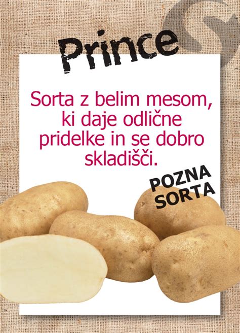 infografika o različnih načinih rezanja krompirja in času kuhanja
