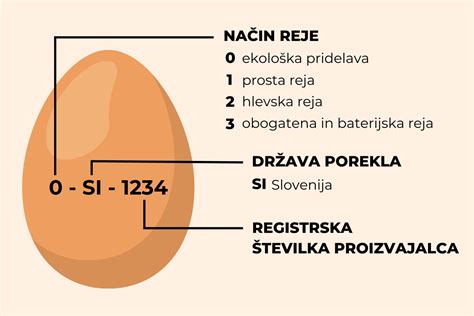 Infografika o razredih kakovosti in masnih razredih jajc