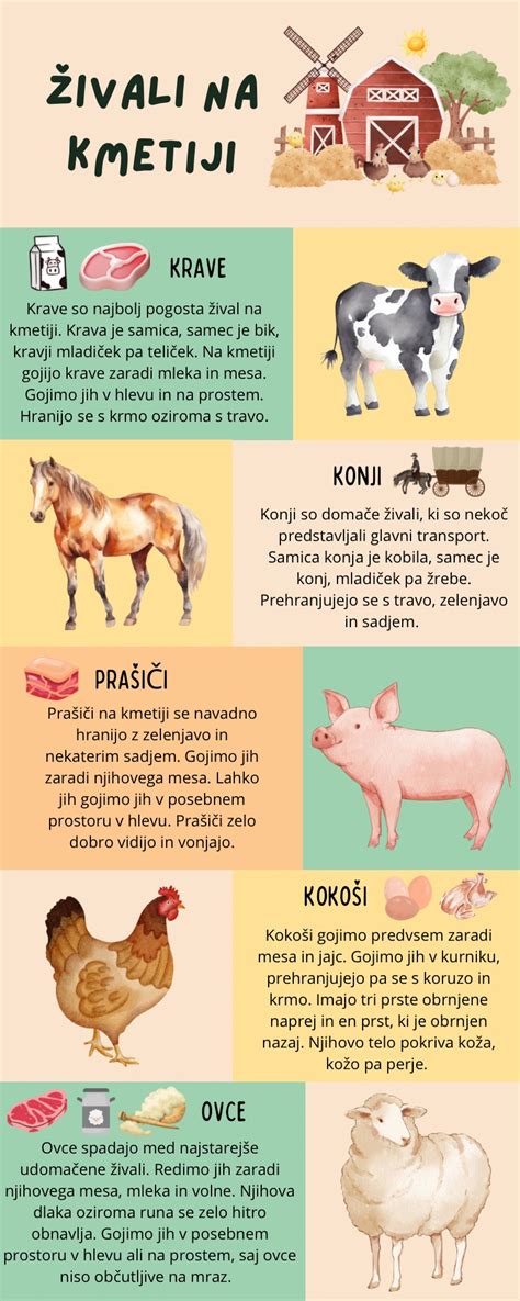 Prikaz dobre prakse reje živali na slovenski kmetiji