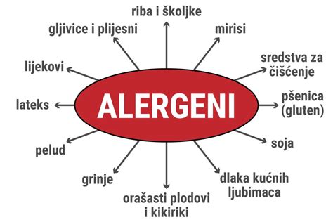 Infografika: Pogosti alergeni in njihovi simptomi
