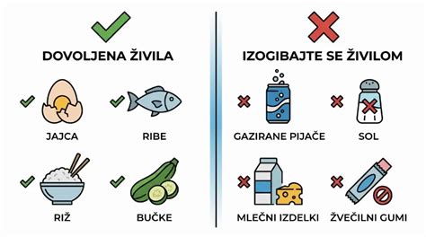infografika s seznamom dovoljenih in prepovedanih živil za pse (krompir, čebula, grozdje, meso)