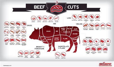 Infographic of beef cuts and their names