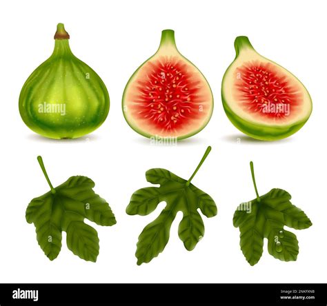 Fotografija: sodobna različica Prešernovih fig