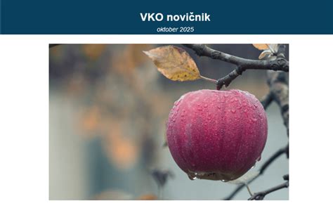 fotografija košare jabolk na jesenskem ozadju