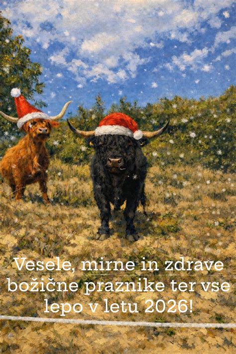 Infografika, ki prikazuje kakovost mesa škotskega goveda