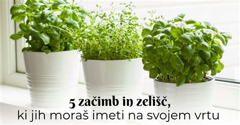 Infografika: Seznam osnovnih začimb, ki jih je dobro imeti v kuhinji