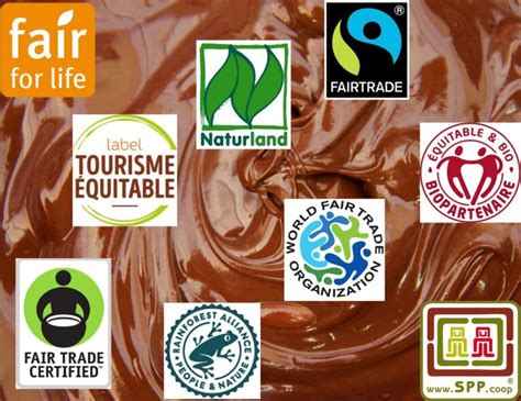 Infografika o prednostih naravnega bombaža in načelih Fair Trade