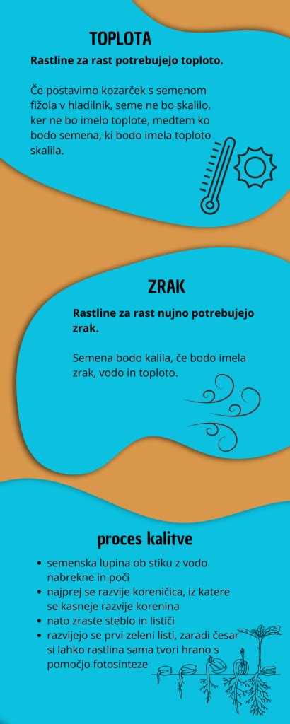 Infografika: Optimalni pogoji za rast brstičnega ohrovta (temperatura, pH tal, vlaga)