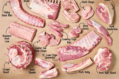 Infographic showing different cuts of pork suitable for stew