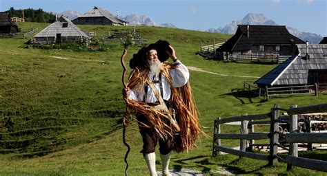 Pastir s čredo ovc na slovenskem pašniku