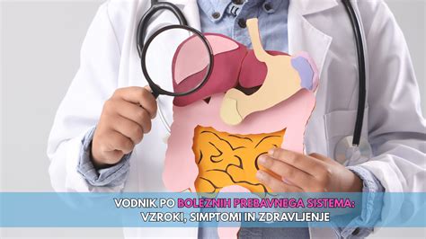 Grafični prikaz prebavnega sistema, ki poudarja črevesje.