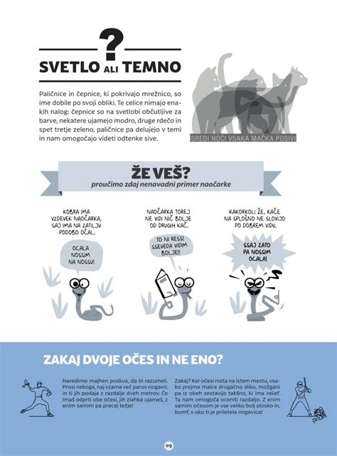 infografika: koraki priprave lečinih polpetov z vsemi sestavinami