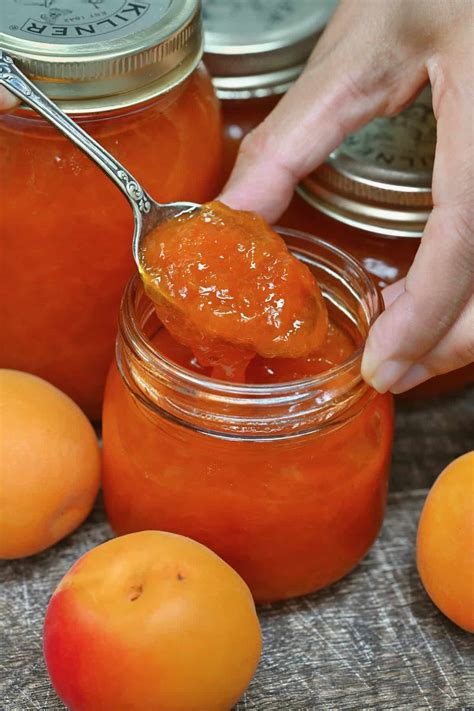 Thematic photo of a krostata with apricot jam